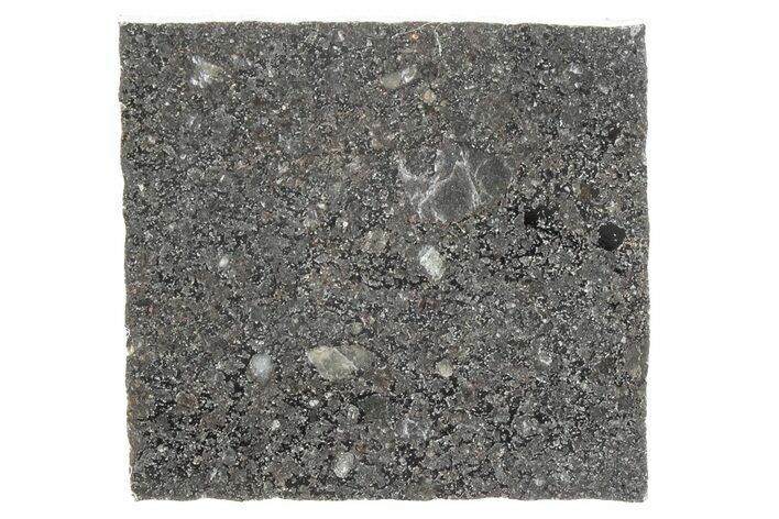 Polished Mesosiderite Meteorite Slice ( g) - NWA #286239